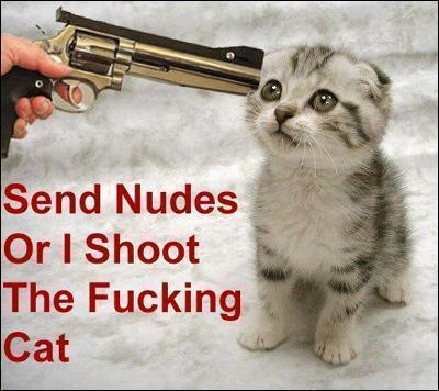 [Image: funny-cat-hostage-sign.jpg]