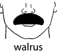 walrus.png