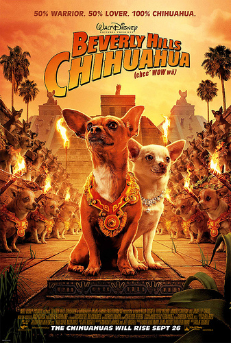 beverly-hills-chihuahua.jpg