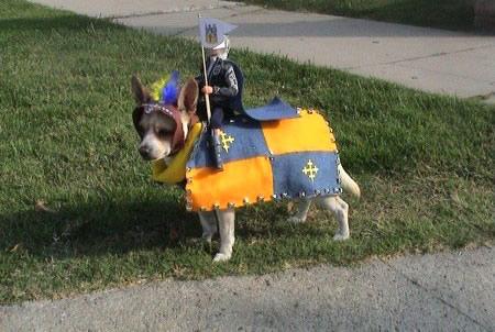 dog-with-knight-on-back.jpg