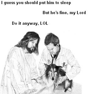 lord_vet.jpg
