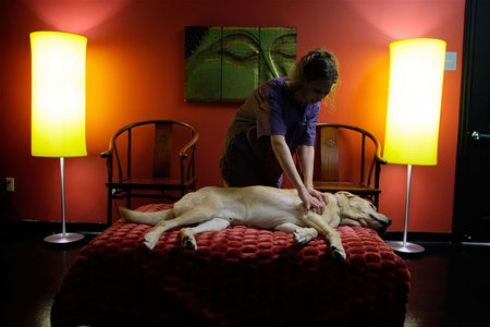 chateau_poochie_5-thumb-450x300.jpg