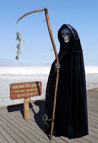 death-vaction.jpg
