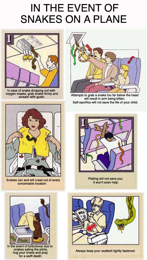 sankes-on-a-plane.jpg