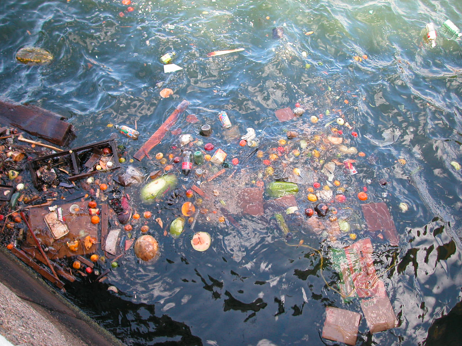 sea-garbage.jpg
