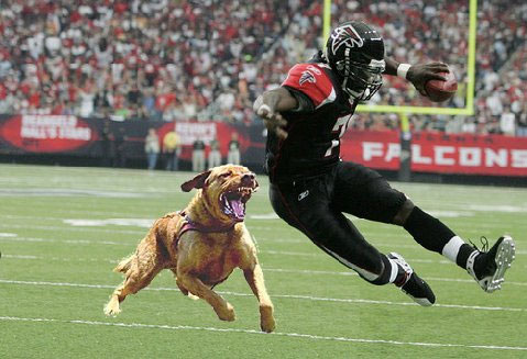 vick-chased.jpg