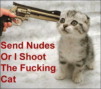 funny-cat-hostage-sign.jpg