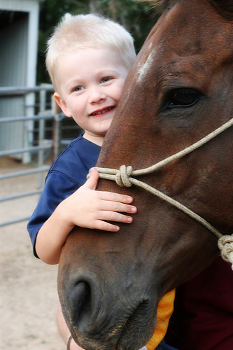 kid-hugging-horse.jpg