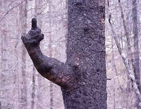 mother-nature-pissed-off.jpg
