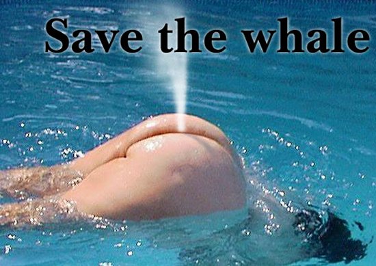 whaleass.jpg