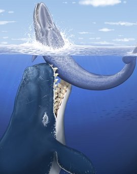 pre-historic-death-whale.jpg