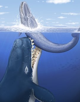 pre-historic-death-whale.jpg