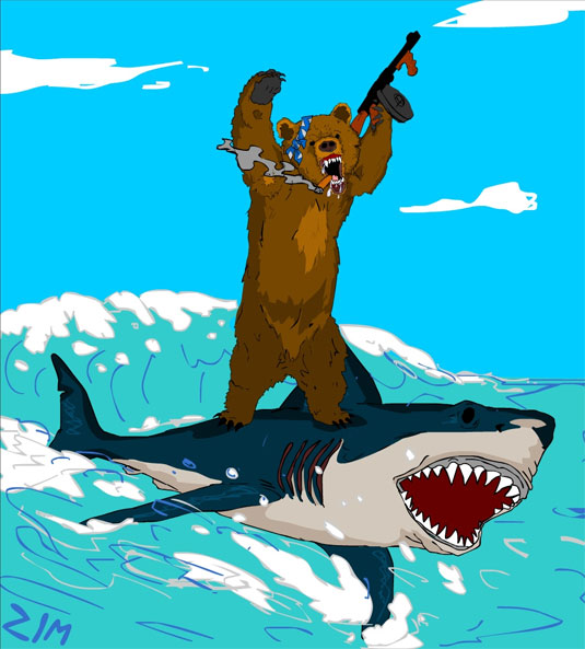 bear-surfing-shark.jpg