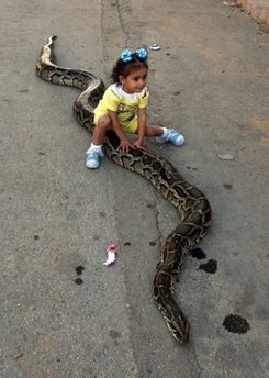 little-girl-riding-a-python.jpg