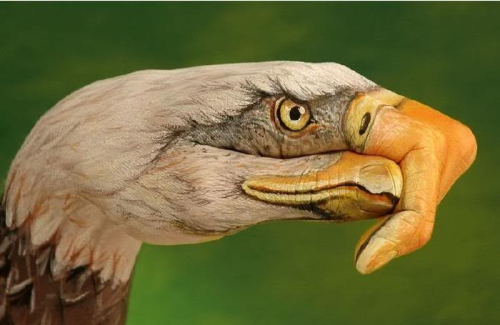 hand-eagle.jpg