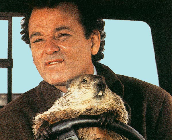 bill-murray-driving.jpg