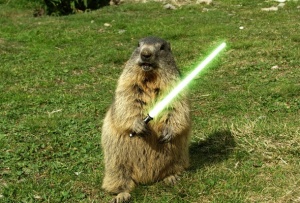 Ground Hog With Light Saber