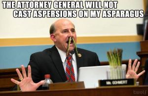 gohmert aspersions