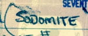 Hateful lady used SODOMITE