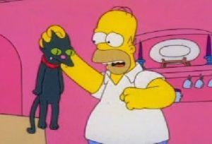 Homer punching a cat