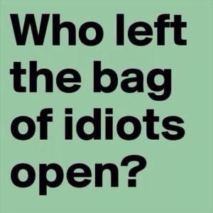 Bag of idiots