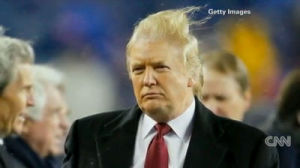 Trump cotton candy hair idiot