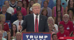 Trump-Second-Amendment-e1470771128621-800x430