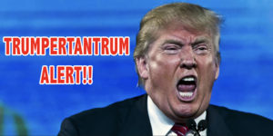 trumpertantrumalert