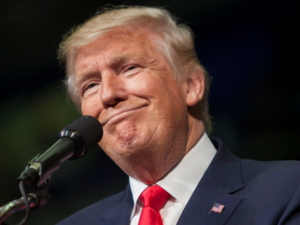 trump-squishy-face-idiot